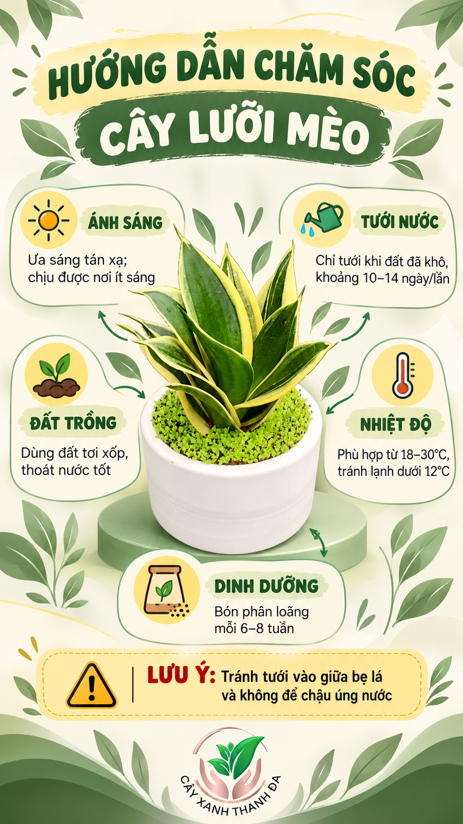 chau-cay-luoi-meo-de-ban-HDSD Chậu Cây Lưỡi Mèo để bàn LM001 - Cây Xanh Thanh Đa